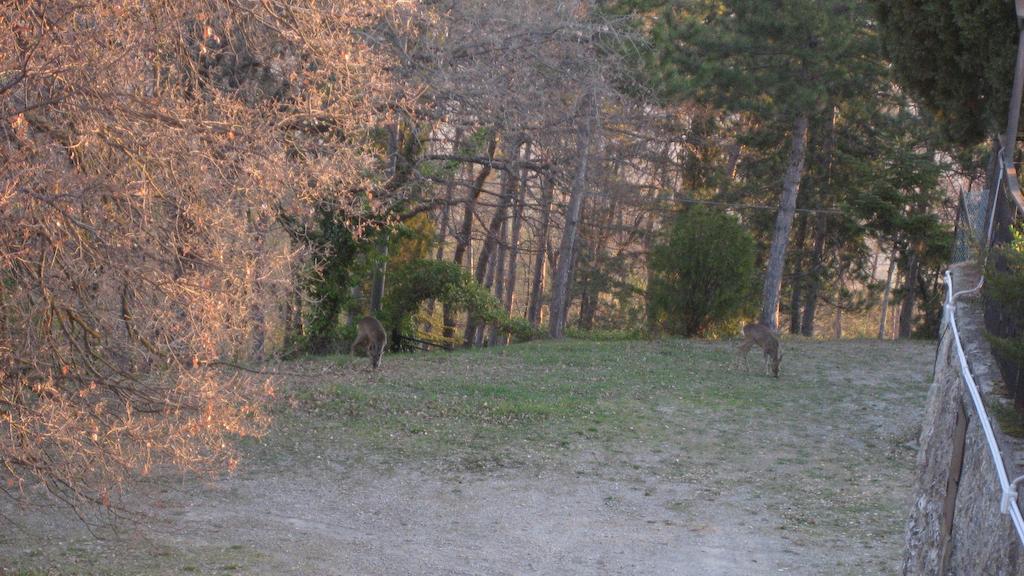 La Torre Ai Mari Otel Sarteano Dış mekan fotoğraf